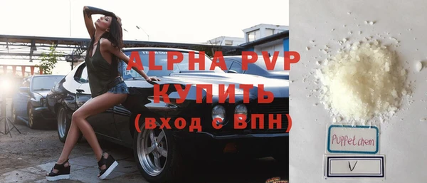 ПСИЛОЦИБИНОВЫЕ ГРИБЫ Инсар