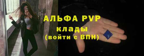 ПСИЛОЦИБИНОВЫЕ ГРИБЫ Иннополис