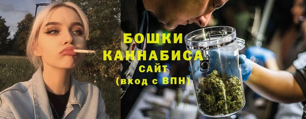 ПСИЛОЦИБИНОВЫЕ ГРИБЫ Инсар