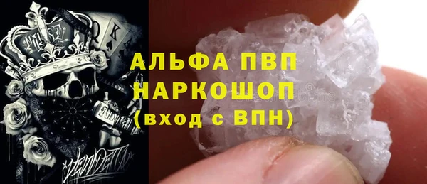 ПСИЛОЦИБИНОВЫЕ ГРИБЫ Инсар