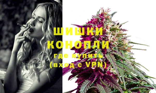 ПСИЛОЦИБИНОВЫЕ ГРИБЫ Иннополис