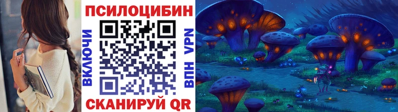 Псилоцибиновые грибы Psilocybe  цена наркотик  Киренск 